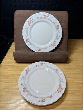 Lot 85: 6 Small Vintage Arcopal Plates France D 19.5 Cm Floral Decor